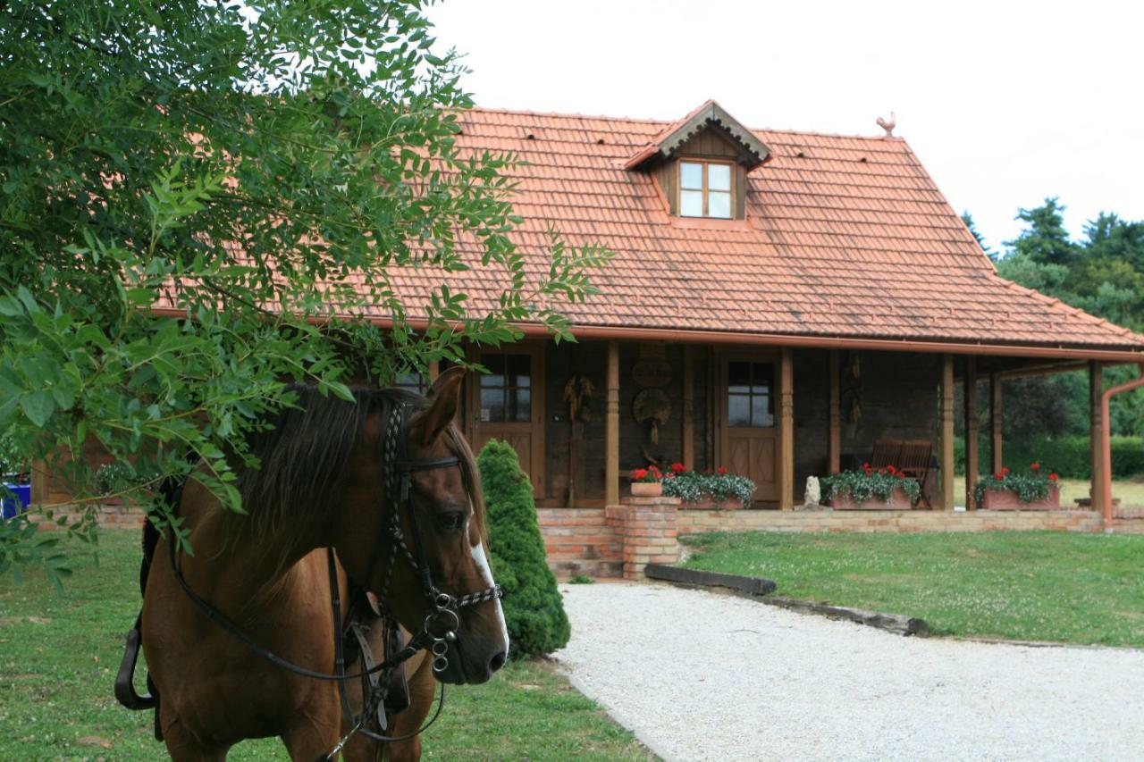 Old Oak House With Pool Villa Marusevec Bagian luar foto